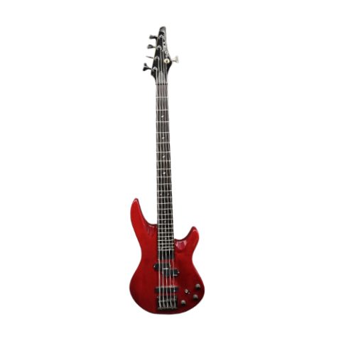 Samick Artist Series 5C Ativo